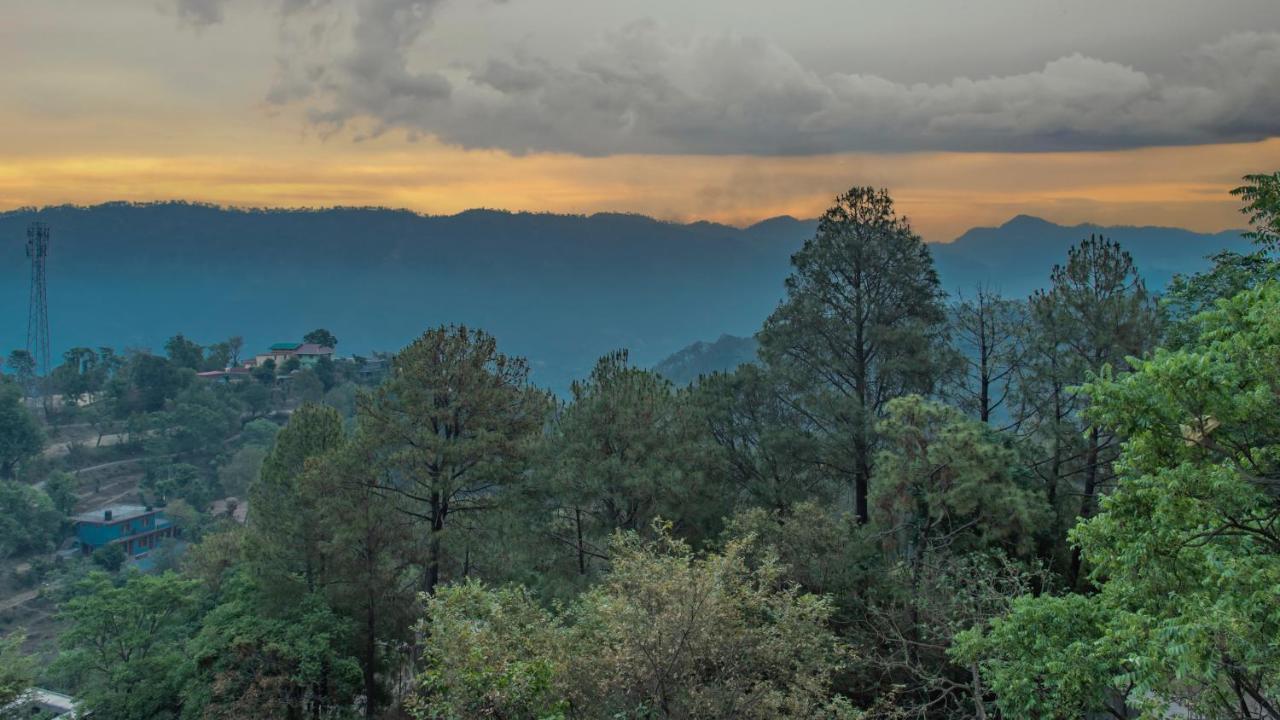 Hill View Apartments Kasauli Exterior foto